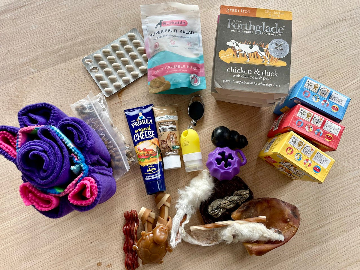 A Road Trip Essential for My Anxious Dog