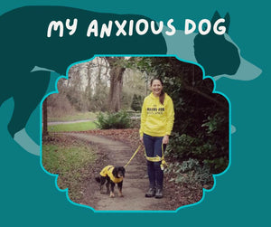 Chatting to Martina Miradoli about our #dogsinyellow movement