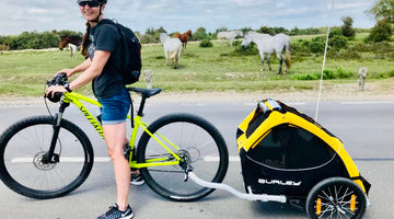 Can you cycle with your anxious dog?