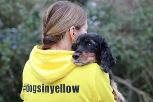 I am proud to announce that I am now a Gold Member of the Pet Professional Network.