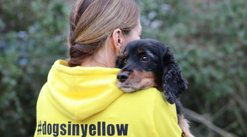 I am proud to announce that I am now a Gold Member of the Pet Professional Network.