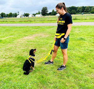 What is the Yellow Army for our anxious and nervous dogs?