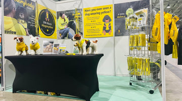 My Anxious Dog was at the launch of Edition Dog Live 2022