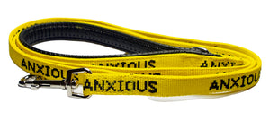 More than 70% of dogs suffer with anxiety or fear