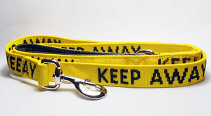 What lead is good for a nervous or anxious dog?