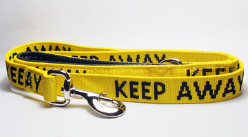 What lead is good for a nervous or anxious dog?