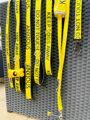 It's dog on a lead day on July 14th. Are you a considerate dog walker?