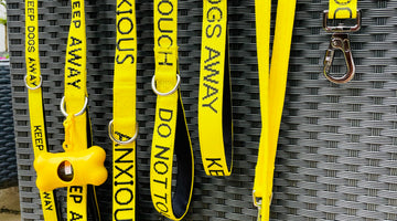 It's dog on a lead day on July 14th. Are you a considerate dog walker?