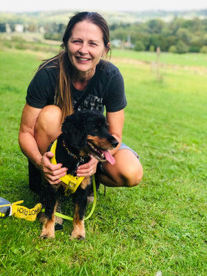My experience with my own anxious dog, Bella