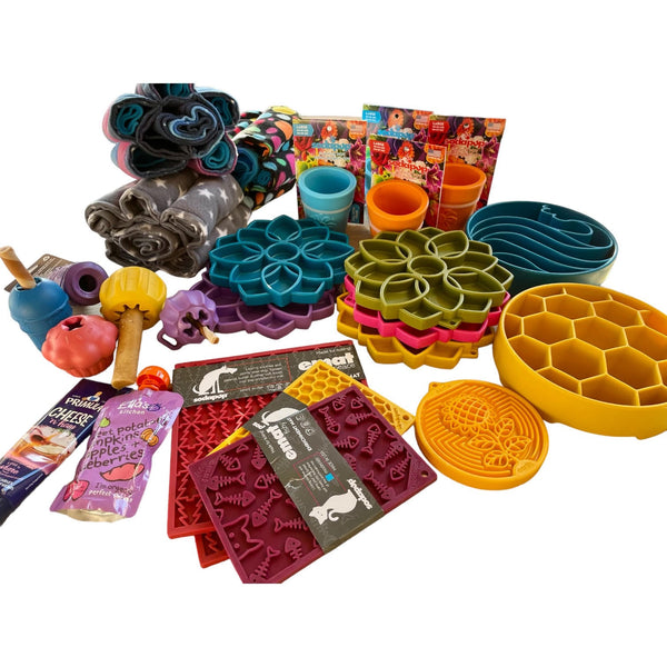 Enrichment toy with chew inside for nervous dog