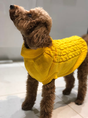 My Anxious Dog Yellow Space Awareness Jumpers