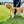 Load image into Gallery viewer, My Anxious Dog Padded yellow non-pull Y harness Size 2