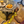 Load image into Gallery viewer, Yellow Lead slip Cover