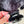 Load image into Gallery viewer, My Anxious Dog Padded yellow non-pull Y harness Size 2