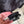 Load image into Gallery viewer, My Anxious Dog Padded yellow non-pull Y harness Size 2