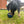 Load image into Gallery viewer, Rylo - Interactive Enrichment Feeder