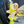 Load image into Gallery viewer, My Anxious Dog Padded yellow non-pull Y harness Size 2