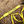 Load image into Gallery viewer, Yellow Lead slip Cover