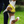 Load image into Gallery viewer, Padded non-pull Y Harness embroidered with ANXIOUS