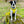 Load image into Gallery viewer, Padded yellow KEEP AWAY ANXIOUS harness