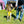 Load image into Gallery viewer, My Anxious Dog Yellow Padded Non-Pull Y Harness New Size 5
