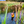 Load image into Gallery viewer, ANXIOUS DOG YELLOW LIGHTWEIGHT RAINCOAT (Large)