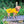 Load image into Gallery viewer, ANXIOUS DOG YELLOW LIGHTWEIGHT RAINCOAT (Large)