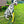 Load image into Gallery viewer, Yellow Space Awareness Lead Slip Covers