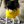 Load image into Gallery viewer, My Anxious Dog Yellow Space Awareness Jumper XS
