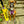 Load image into Gallery viewer, Yellow Space Awareness Lead Slip Covers