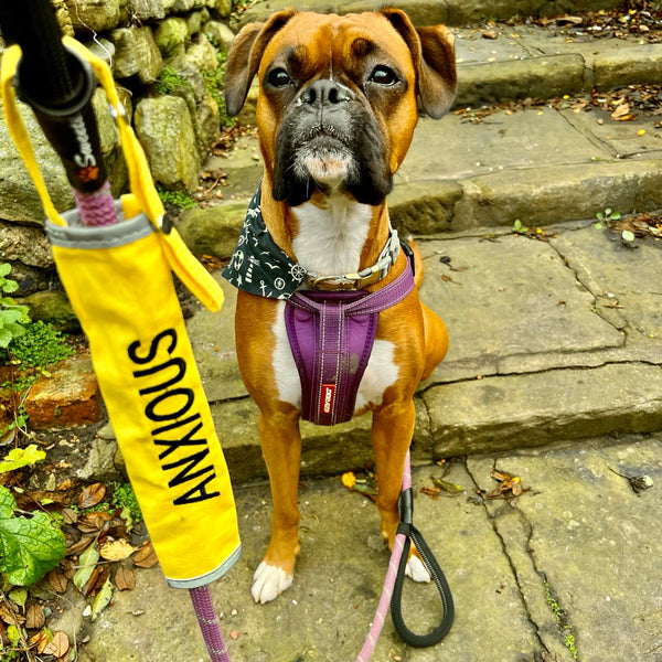 Yellow Space Awareness Lead Slip Covers