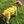Load image into Gallery viewer, My Anxious Dog Yellow Raincoat 16&quot;
