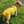 Load image into Gallery viewer, My Anxious Dog Yellow Raincoat 16"