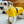 Load image into Gallery viewer, ANXIOUS DOG YELLOW LIGHTWEIGHT RAINCOAT (Small)