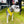 Load image into Gallery viewer, My Anxious Dog Padded yellow non-pull Y harness Size 2
