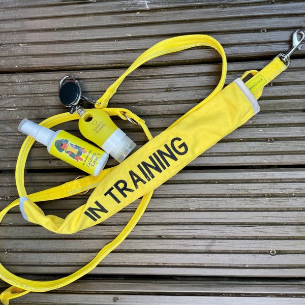 Yellow Lead slip Cover