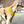 Load image into Gallery viewer, My Anxious Dog Yellow Padded Y Shaped Harness New Size 3