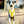 Load image into Gallery viewer, My Anxious Dog Yellow Padded Y Shaped Harness New Size 3