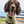 Load image into Gallery viewer, My Anxious Dog Yellow Space Awareness Collar "DO NOT TOUCH"