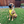 Load image into Gallery viewer, Padded yellow ANXIOUS harness