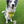 Load image into Gallery viewer, Padded yellow ANXIOUS harness