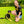 Load image into Gallery viewer, Yellow Space Awareness Lead Slip Covers