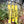 Load image into Gallery viewer, Yellow Lead slip Cover