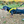 Load image into Gallery viewer, Padded non-pull Y Harness embroidered with ANXIOUS