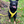 Load image into Gallery viewer, Padded non-pull Y Harness embroidered with ANXIOUS