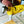 Load image into Gallery viewer, ANXIOUS DOG YELLOW LIGHTWEIGHT RAINCOAT (Extra Large)