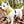 Load image into Gallery viewer, Y-Shaped Harness for Anxious Dogs – Yellow Padded No-Pull | Size 3 Small