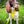 Load image into Gallery viewer, My Anxious Dog Yellow Padded Y Shaped Harness New Size 3