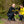 Load image into Gallery viewer, #dogsinyellow need space sweatshirt