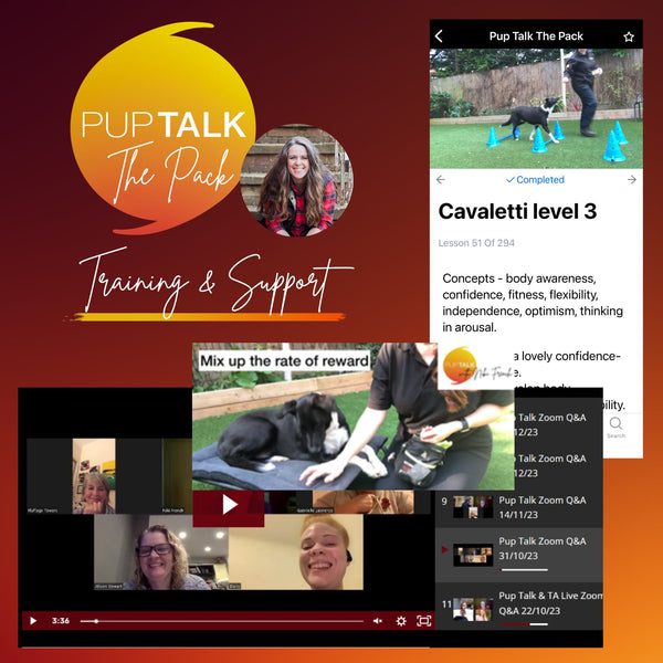 PUP TALK THE PACK DOG TRAINING & SUPPORT COMMUNITY